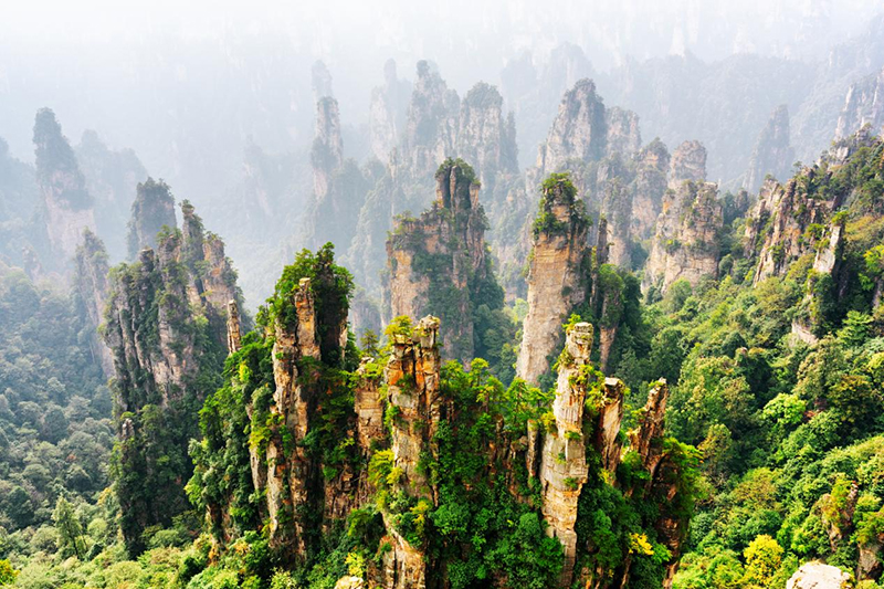 图片11