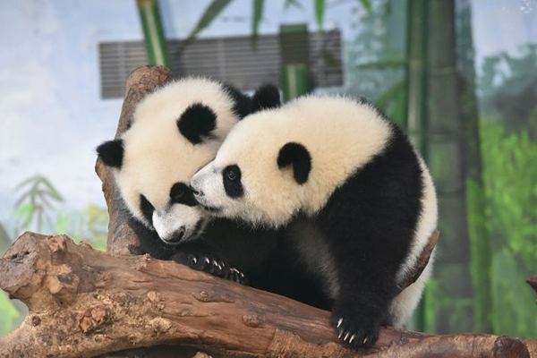 图片2