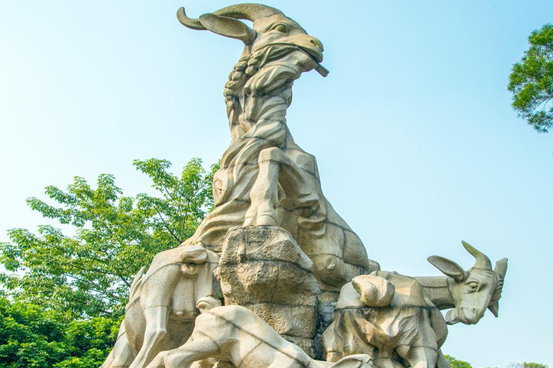 图片5